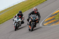 PJ-Motorsport-2019;anglesey-no-limits-trackday;anglesey-photographs;anglesey-trackday-photographs;enduro-digital-images;event-digital-images;eventdigitalimages;no-limits-trackdays;peter-wileman-photography;racing-digital-images;trac-mon;trackday-digital-images;trackday-photos;ty-croes